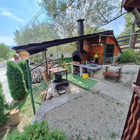 Vila Casa Diana Nucşoara Exteriér fotografie