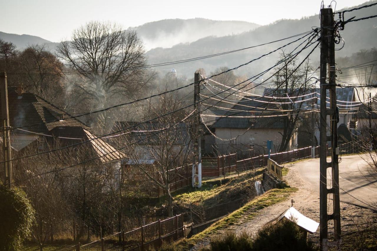 Vila Casa Diana Nucşoara Exteriér fotografie